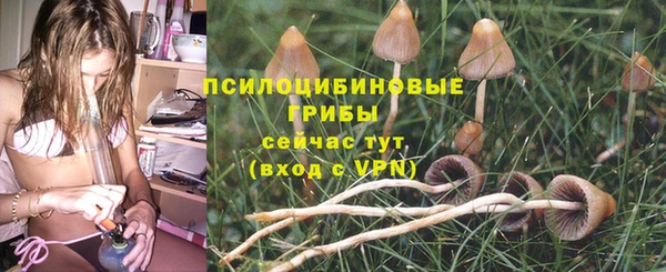 синтетический гашиш Арсеньев