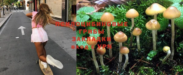 дмт Аркадак