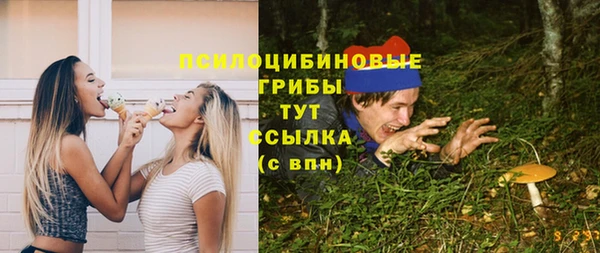 прущие крисы Армянск