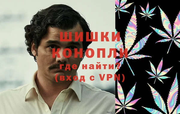 дмт Аркадак